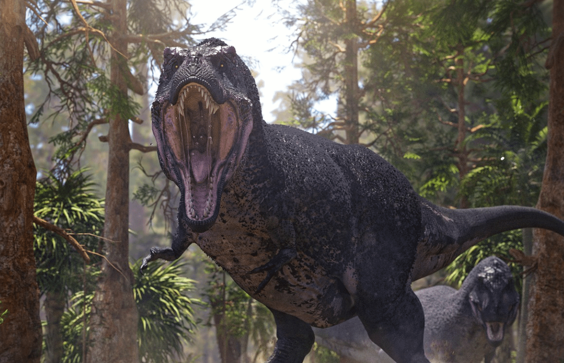 tyrannosaurus rex dinosaur 3d model