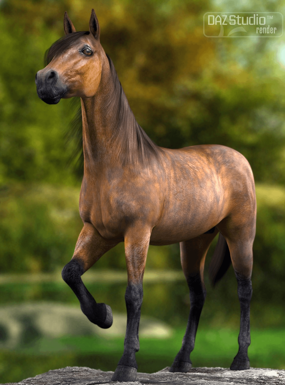 3d model daz horse 2 