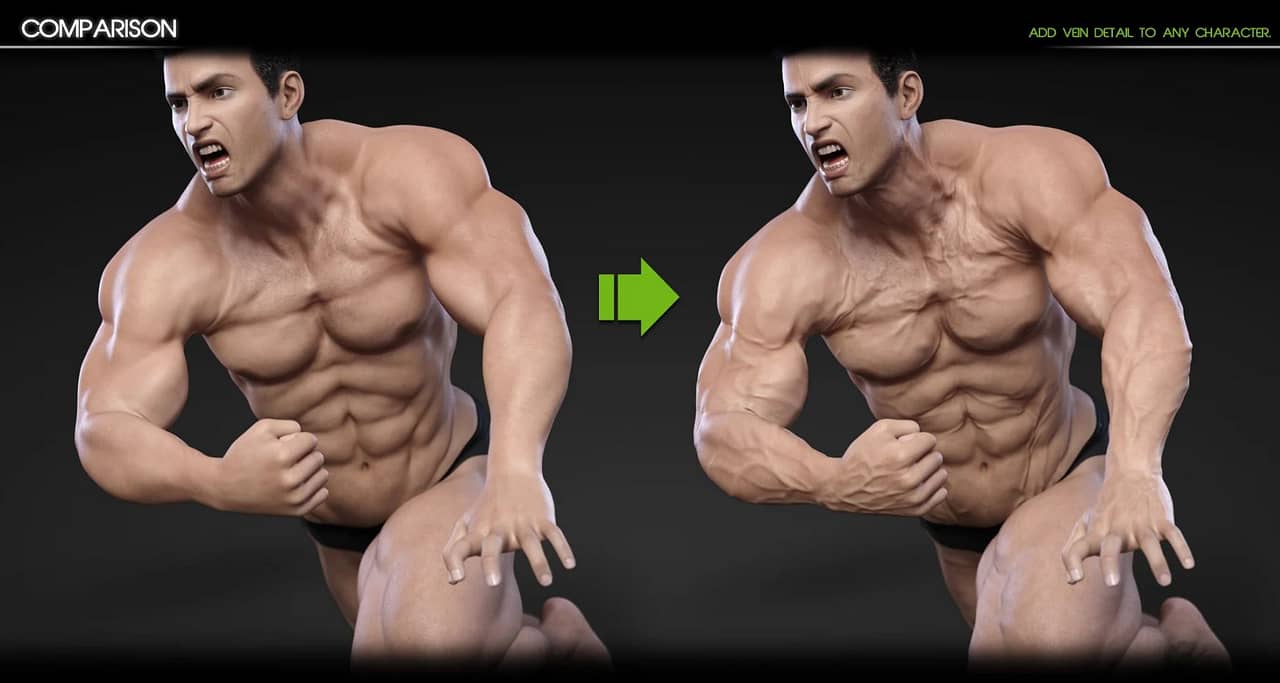 vascularity daz3d for male and female