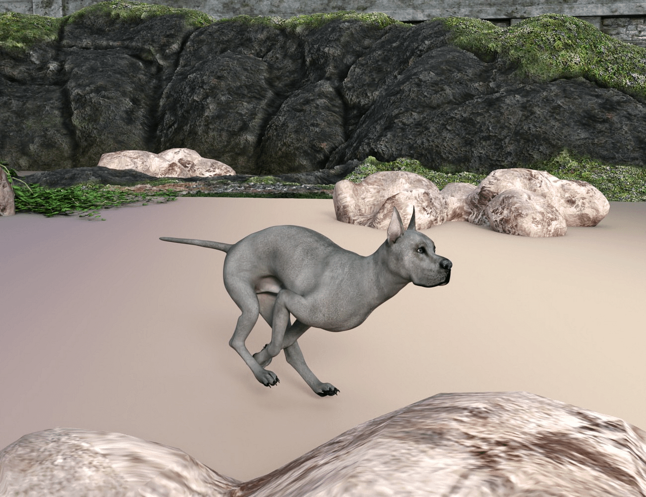 daz studio animation of a running dog
