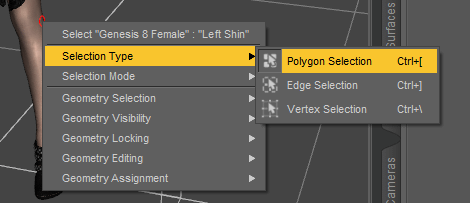 polygon selection option window