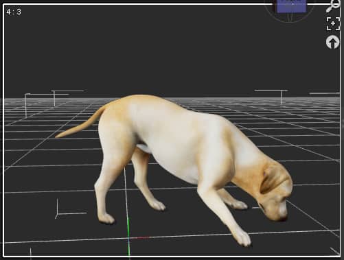 daz3d animation dog pose initial keyframe