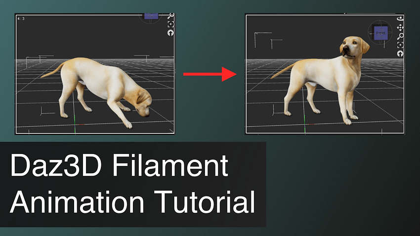 Daz3D Filament Animation Tutorial